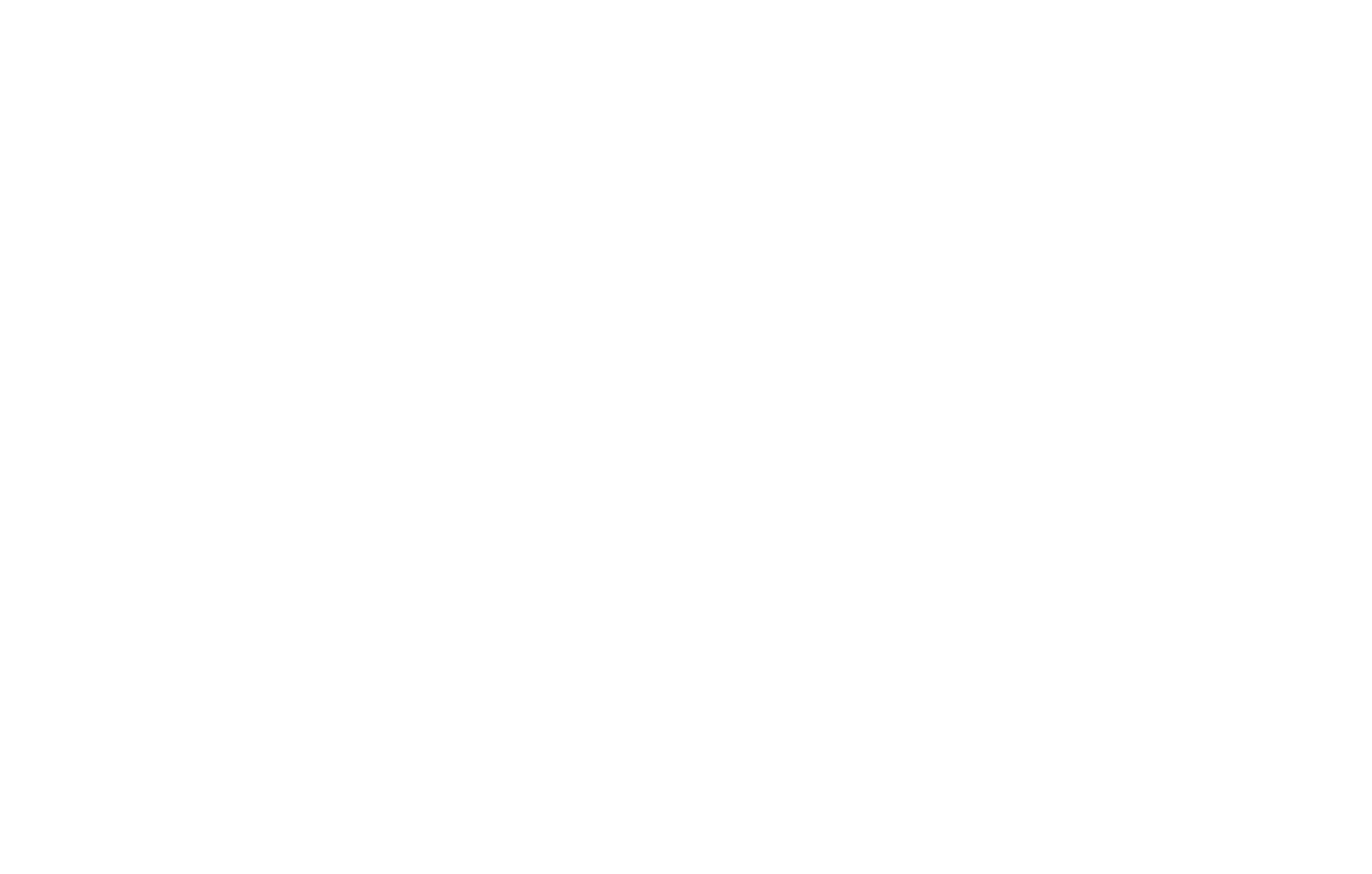 BPWI-Logo-weiss-Zusatz