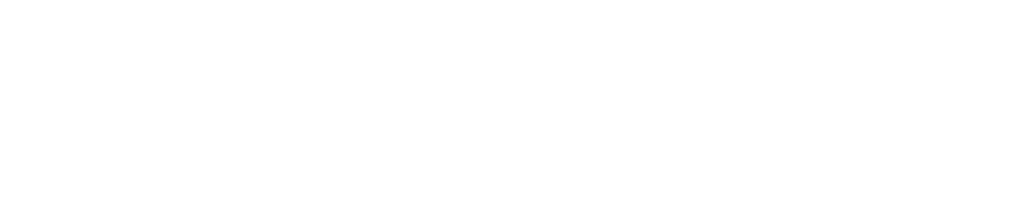WB-WBG-horizontal-white-high