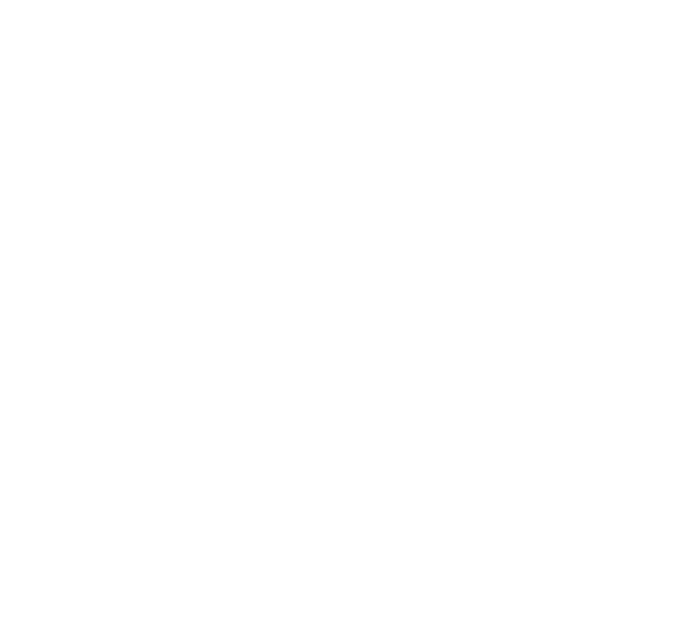 echidna logo